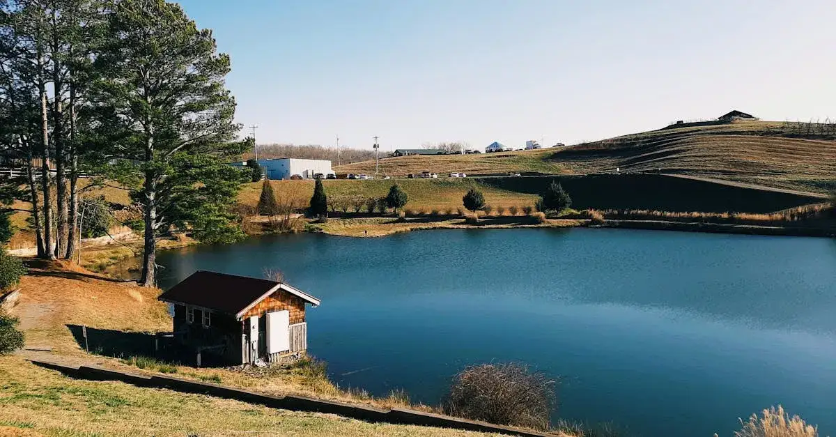 Tanie wczasy z wyżywieniem: Najlepsze oferty nad jeziorem