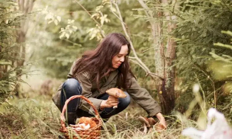 Jak szukać grzyby w lesie: skuteczne techniki i miejsca na foraging