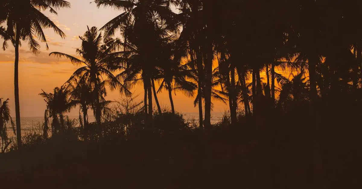 SPA w Helu: Najlepsze miejsce na relaks nad morzem