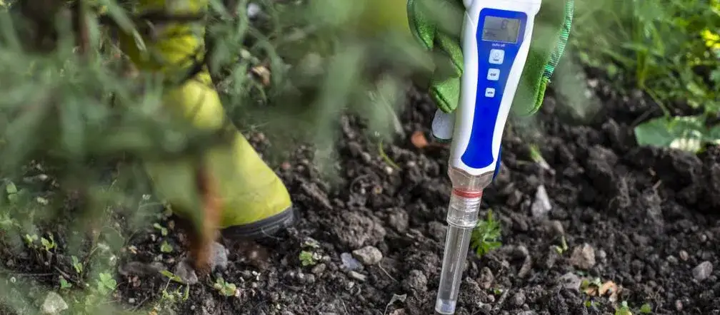 Jak sprawdzić pH ziemi ogrodowej: proste metody i ich znaczenie dla roślin