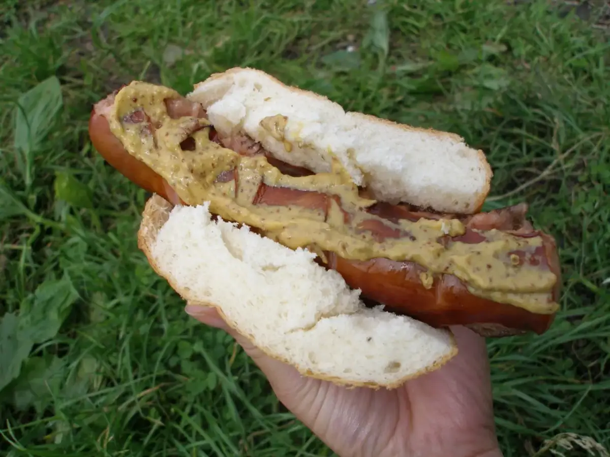 Czy kiełbasa z ogniska jest zdrowa? Wady, zalety i zdrowsze alternatywy