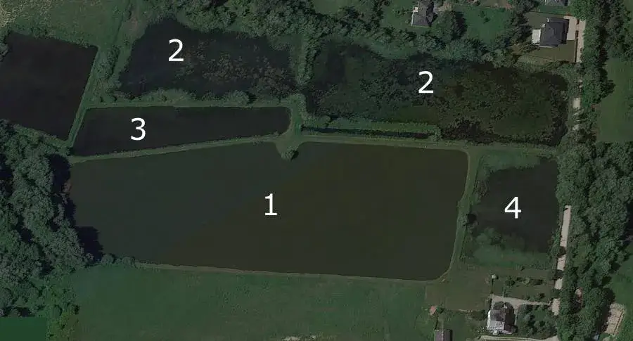 Łowisko Grodzisk Mazowiecki – idealne miejsce dla wędkarzy i miłośników natury