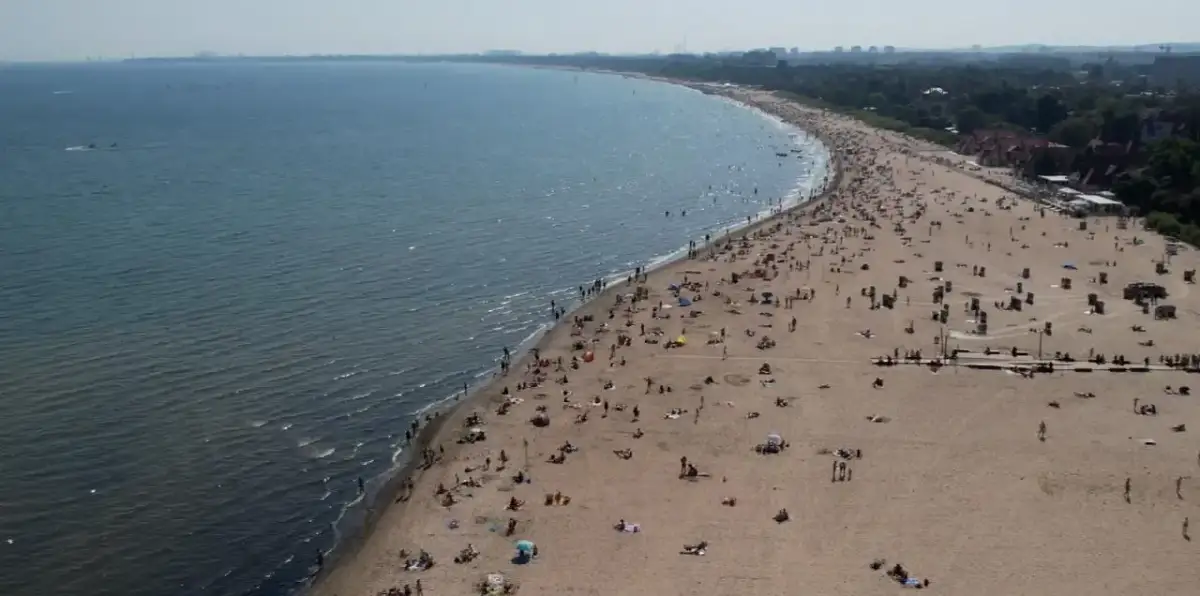 Gdzie sinice w Bałtyku? Sprawdź niebezpieczne plaże i zagrożenia