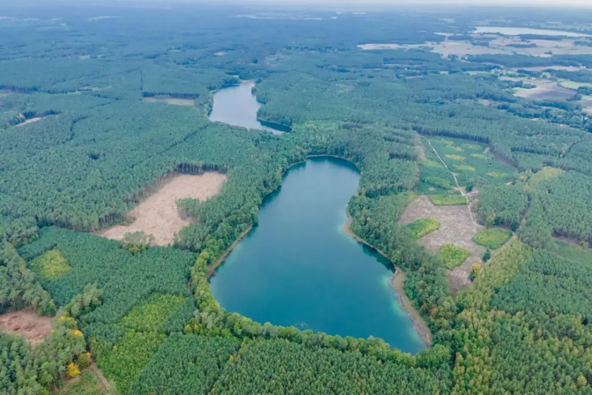 Borowy Młyn łowisko - najlepsze miejsca na wędkowanie i porady