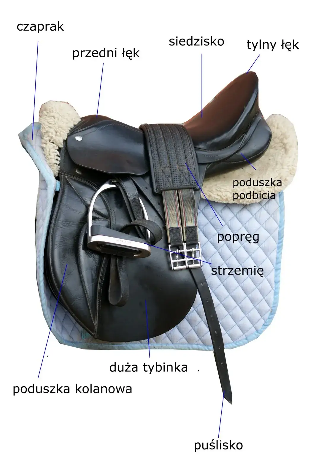 Z czego składa się siodło? Poznaj budowę i funkcje każdego elementu!