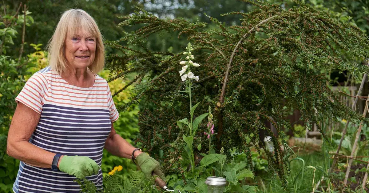 Przycinanie Drzew: Jakie Są Ceny? Zadbaj o Ogród Bez Przepłacania