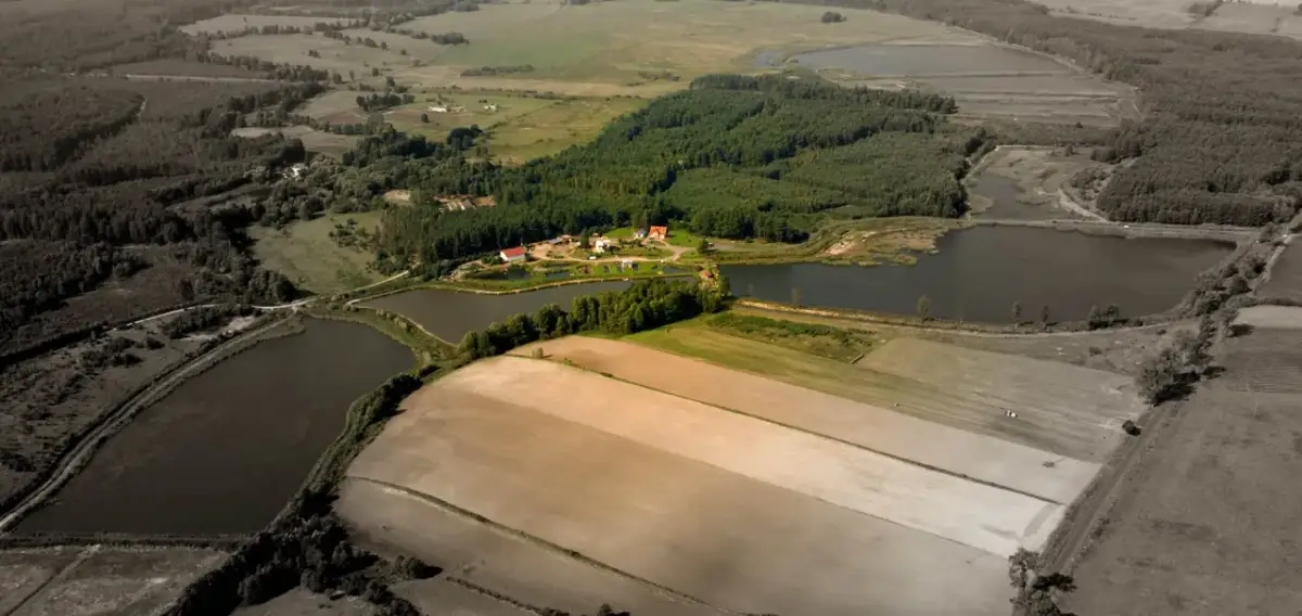 Łowisko Stobno: najlepsze miejsce na wędkowanie w Wielkopolsce