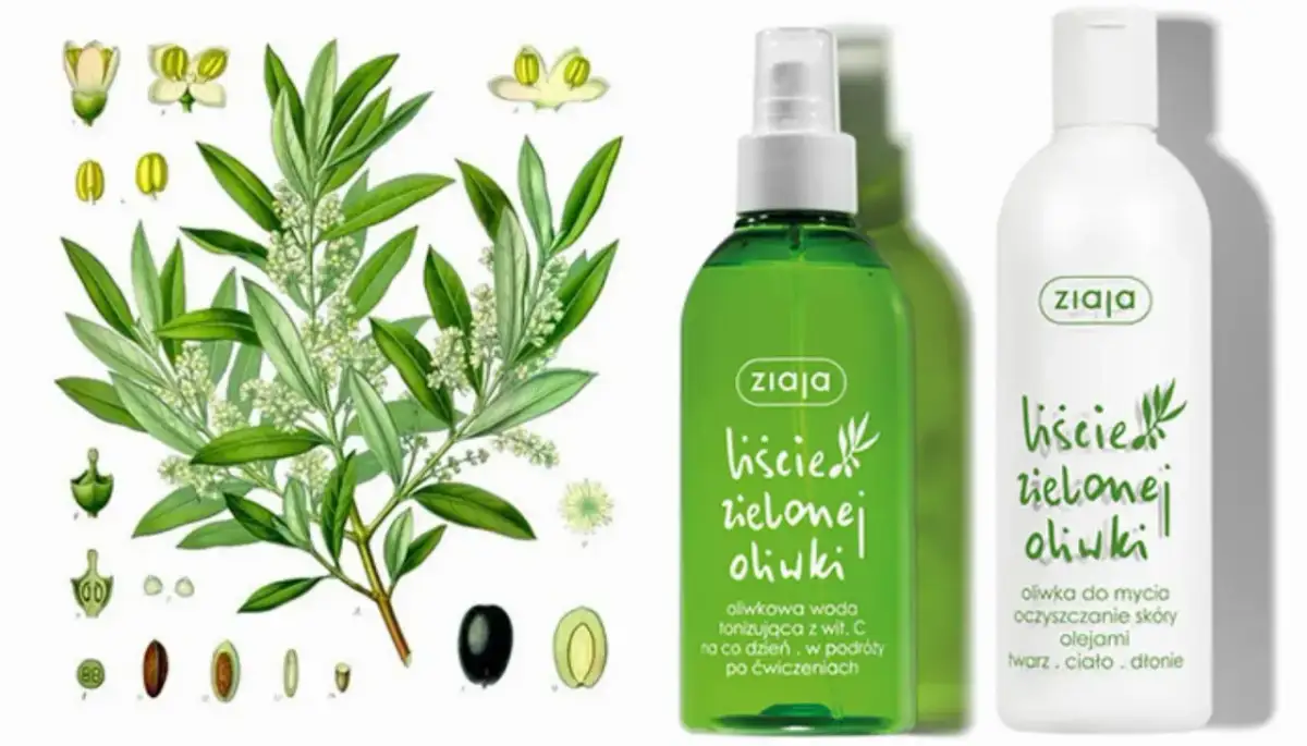 Czy kosmetyki Ziaja są dobre? Odkryj prawdę o ich skuteczności