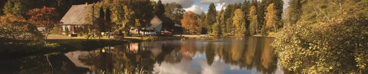 Jaki jest symbol parku narodowego Bory Tucholskie i jego znaczenie?