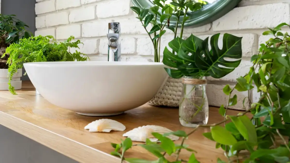 Najpiękniejsze kwiaty do łazienki: 10 niezawodnych roślin do wilgotnych wnętrz