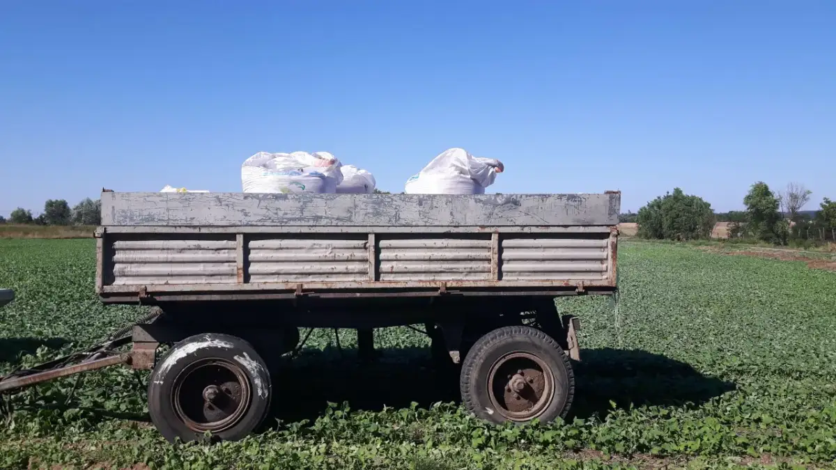 Jak obliczyć dawkę nawozu na hektar i uniknąć błędów w uprawie