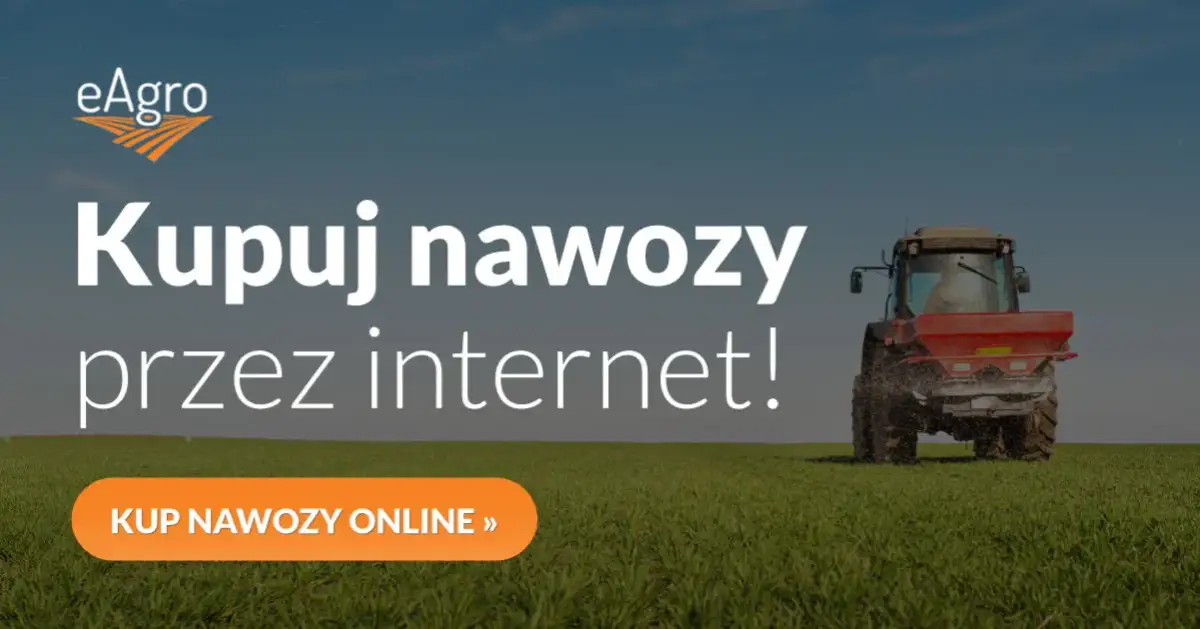 Jaki nawóz na wiosnę na pszenżyto, aby uzyskać lepsze plony?