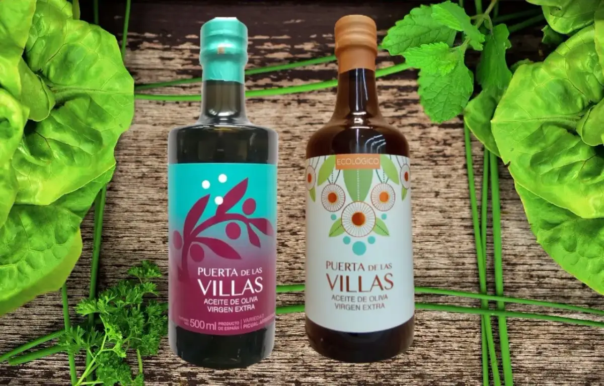 Jaką oliwę do sałatek wybrać, by poprawić smak i zdrowie?