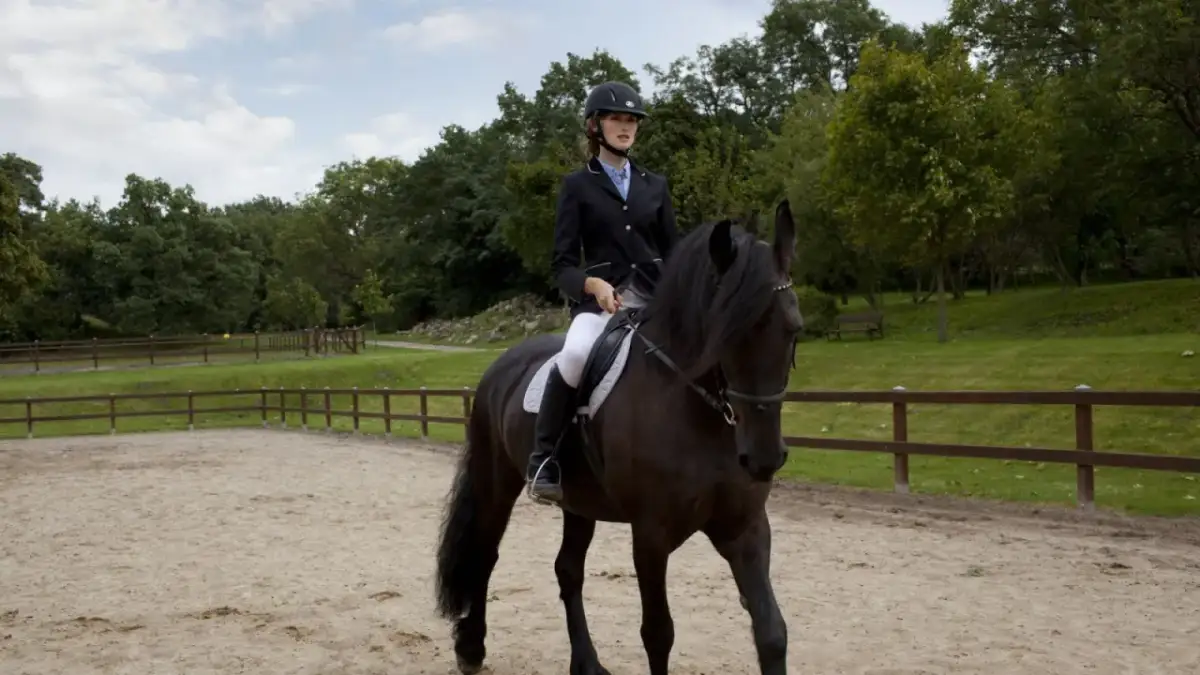 Stadnina koni Kurki - najlepsze jazdy konne i hipoterapia w regionie