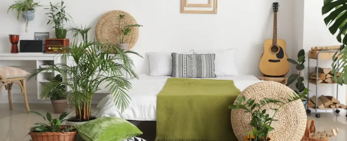 Jakie rośliny do sypialni wybrać, by poprawić jakość powietrza?