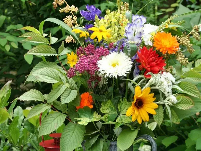 Jak zrobić bukiet z kwiatów ogrodowych, by zachwycał każdego dnia