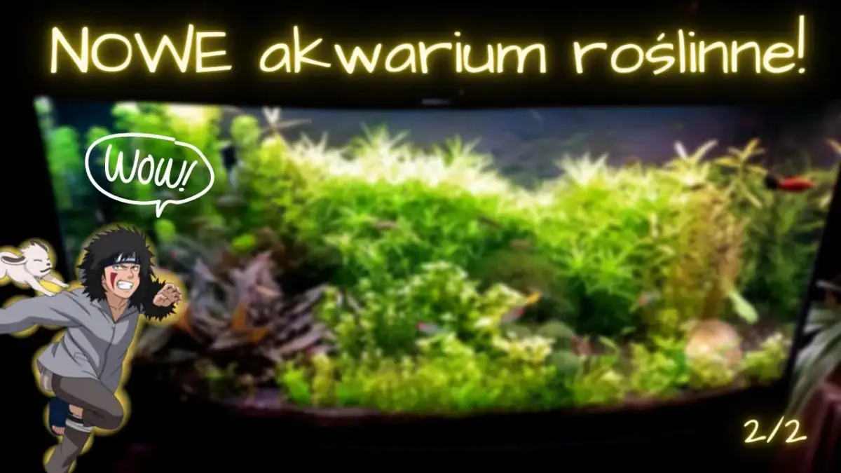 Optymalne KH i GH w akwarium roślinnym: Klucz do sukcesu
