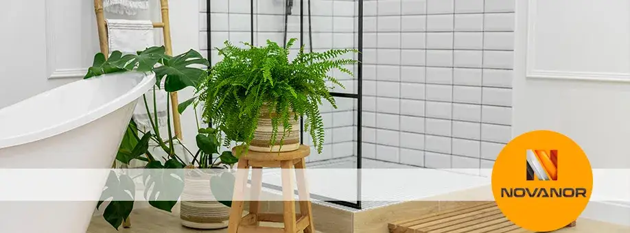 Plantas para el baño que absorben humedad y mejoran el aire fresco
