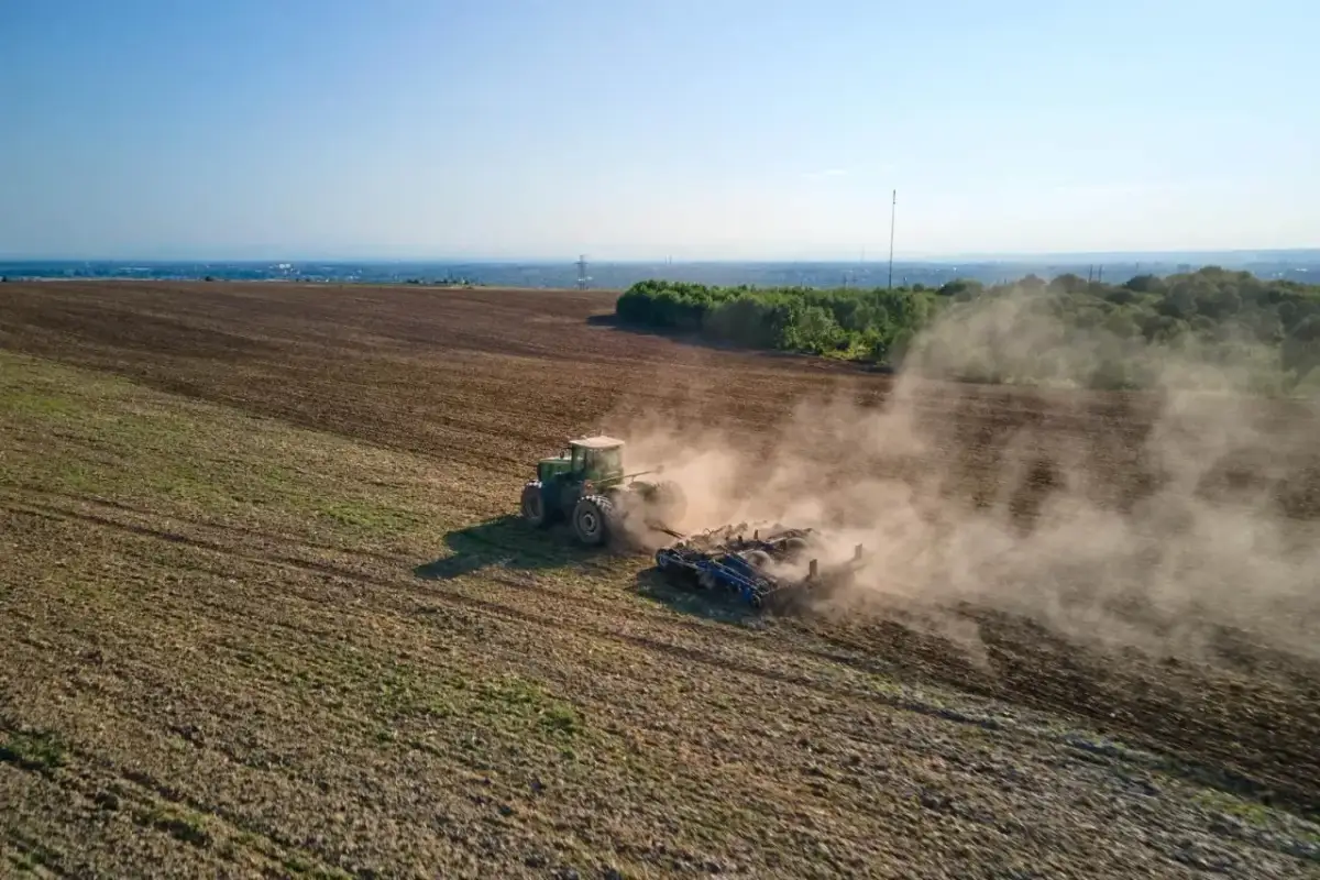 Ile siać żyta na hektar? Kluczowe wskazówki dla rolników