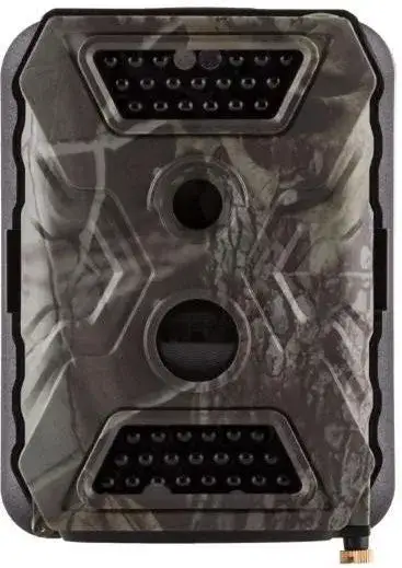 Jaki aparat do fotografowania zwierząt - wybierz najlepszy sprzęt dla siebie