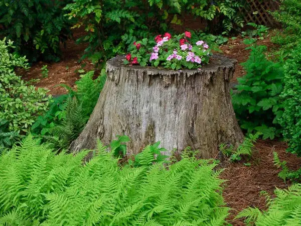 10 kreatywnych sposobów na wykorzystanie pnia drzewa w ogrodzie