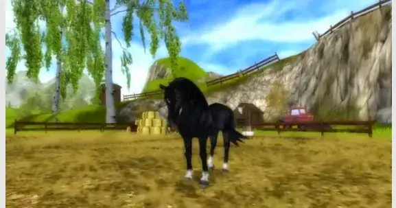 Jak wybrać idealnego konia dla siebie? Porady i kryteria dopasowania