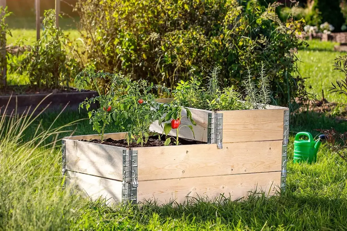 Czym ogrodzić ogródek warzywny, aby skutecznie chronić plony?