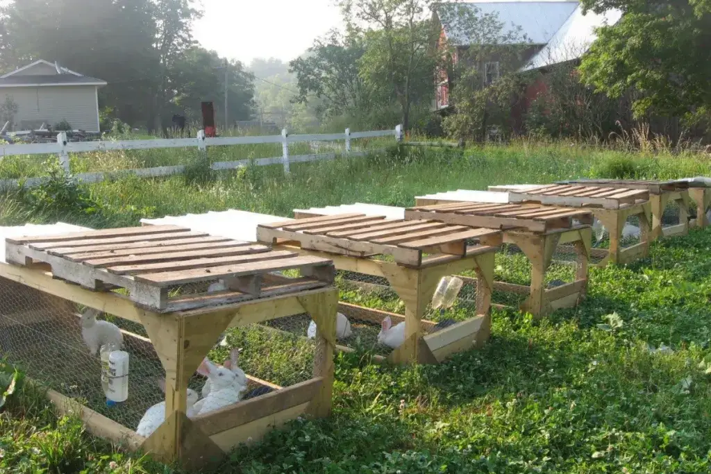 Jak zrobić klatkę dla królika z palet: 5 prostych kroków DIY