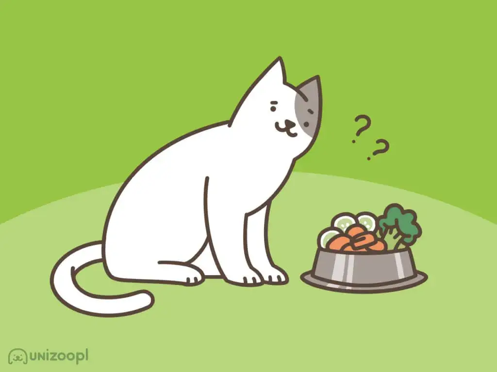 Czy koty mogą jeść groszek? Odkryj, co musisz wiedzieć o tym warzywie