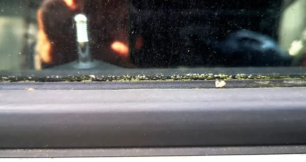 Skuteczne sposoby, jak usunąć mech z uszczelek i zadbać o ich trwałość