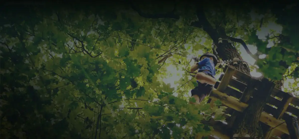 Park Linowy Gibon - atrakcje, trasy i opinie dla całej rodziny