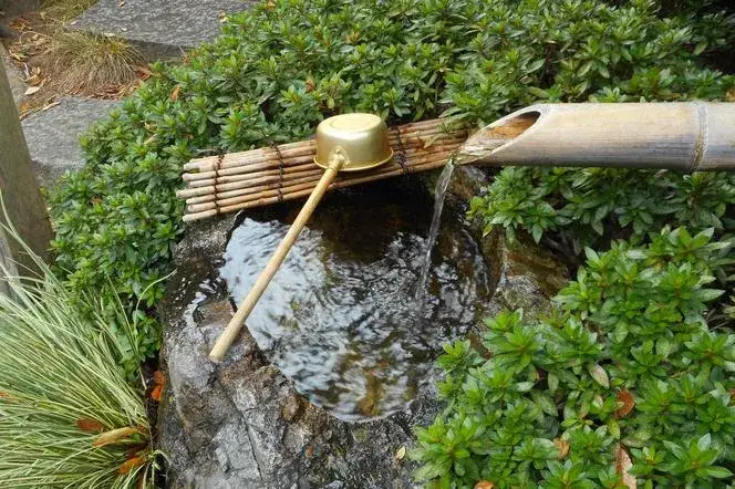 Jak zrobić źródełko ogrodowe samodzielnie - krok po kroku i porady.