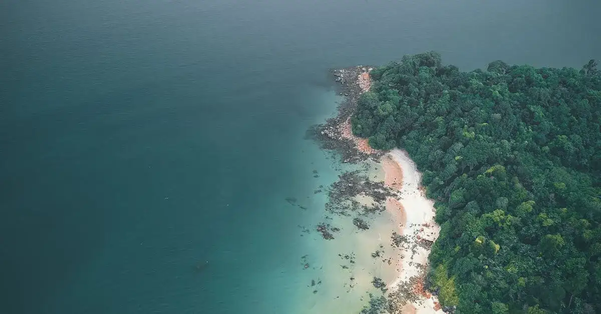 Ośrodek Stegna: Komfortowe miejsce na wypoczynek