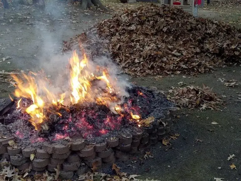 Palenie liści w ogrodzie: Czy to legalne i bezpieczne? Sprawdź fakty