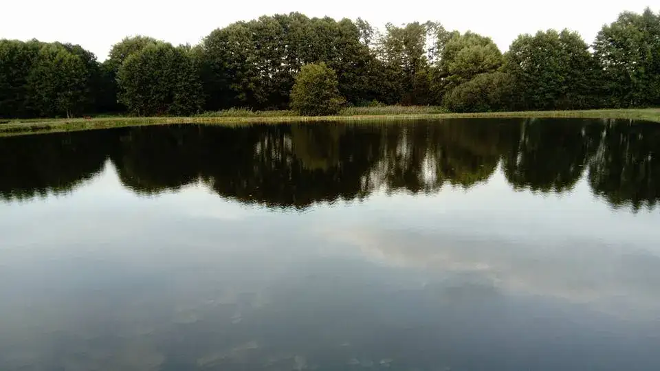 Łowisko u Ani - idealne miejsce na relaksujące wędkowanie bez licencji