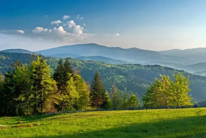 Bielsko-Biała: Jakie góry czekają na Ciebie w okolicy? Beskid Śląski i nie tylko
