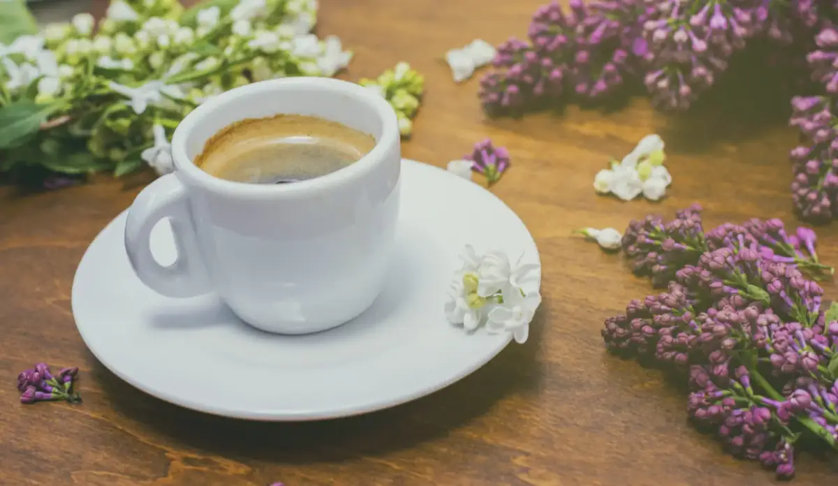 Czy kawa jest kaloryczna? Sprawdź, ile kalorii ma Twoja kawa