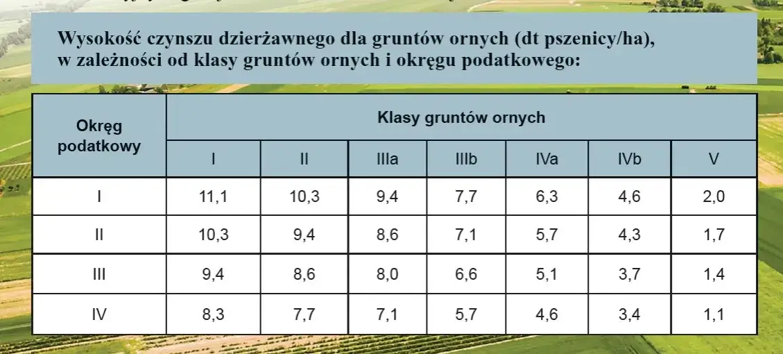 Czynsz dzierżawny – co to jest i jak uniknąć problemów prawnych?