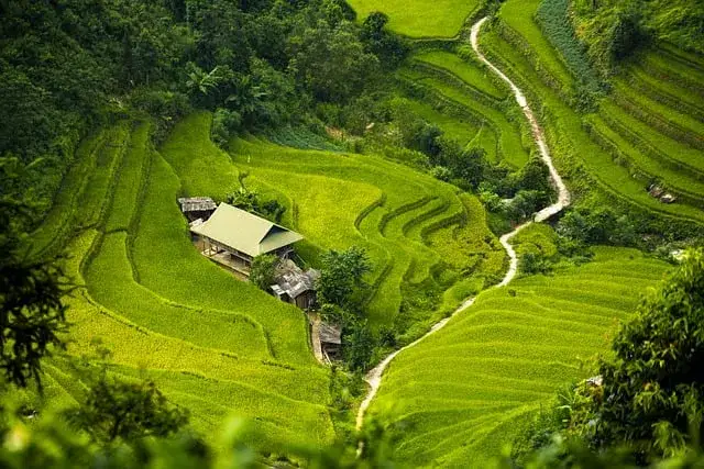 Izolacja rur CO w ziemi: Jak uniknąć kosztownych błędów?