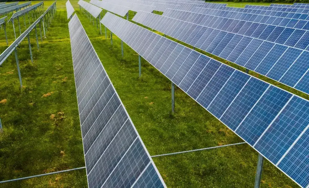 Ile płacą za dzierżawę ziemi pod fotowoltaikę – aktualne stawki i warunki