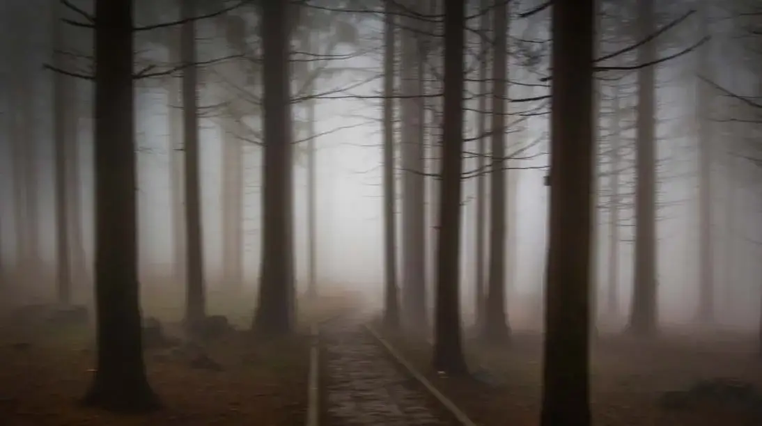 Puls horror: porównanie japońskiego oryginału i amerykańskiego remake'u