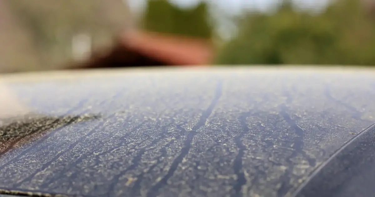 Pokryty drobnym, żółtym pyłem znad Sahary dach samochodu, z rozmytym tłem zieleni i budynków.