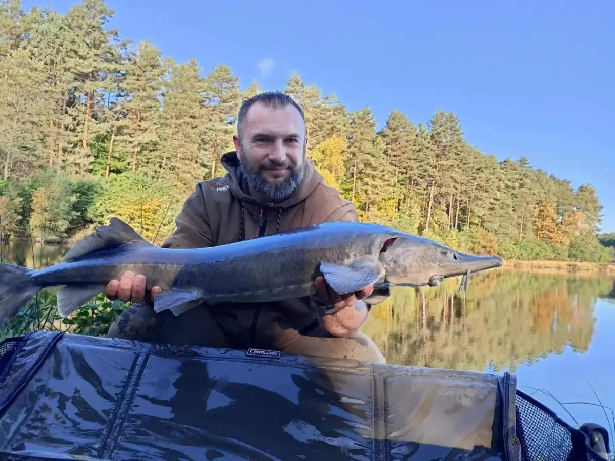 Łowisko Pod Lasem: Cennik, zasady, ryby. Co złowisz i ile zapłacisz?