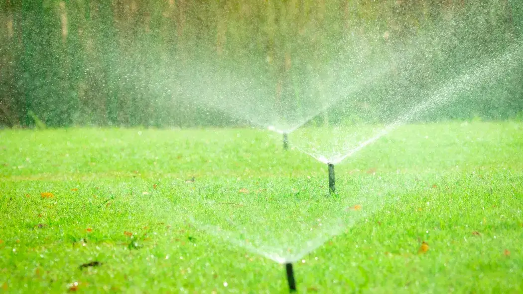 Jak rozmieścić zraszacze w ogrodzie, aby uniknąć nadmiernego podlewania