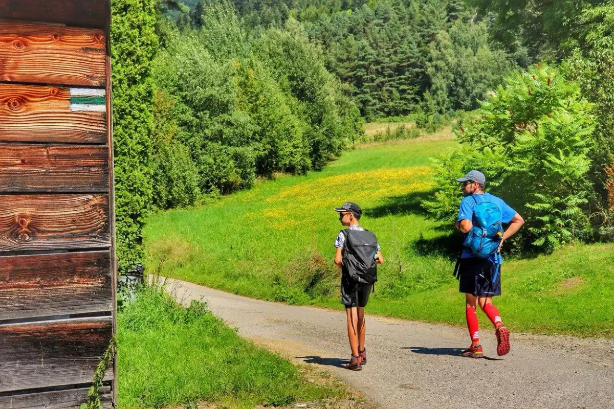 Najlepsze atrakcje w Mszanie Dolnej, które musisz zobaczyć