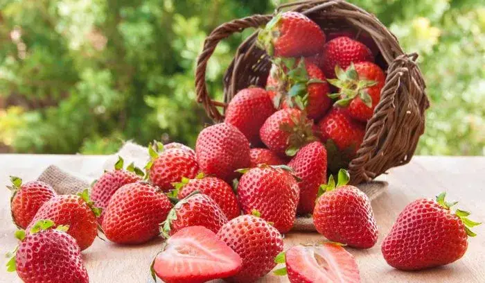Sezon na truskawki kiedy - poznaj daty i najlepszy czas na zakupy