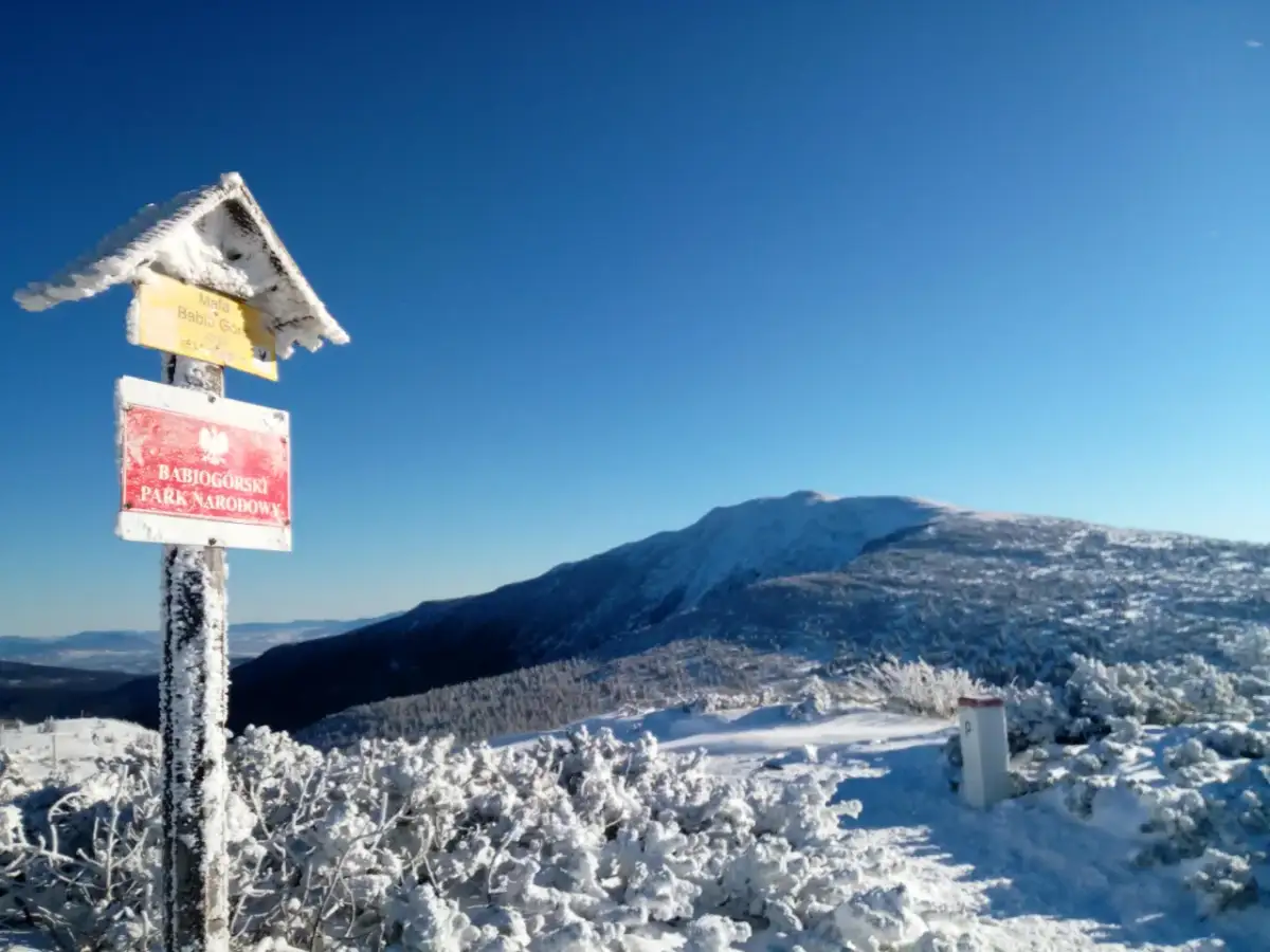 Zawoja: Gdzie leży? Odkryj Królową Beskidów i jej pasma