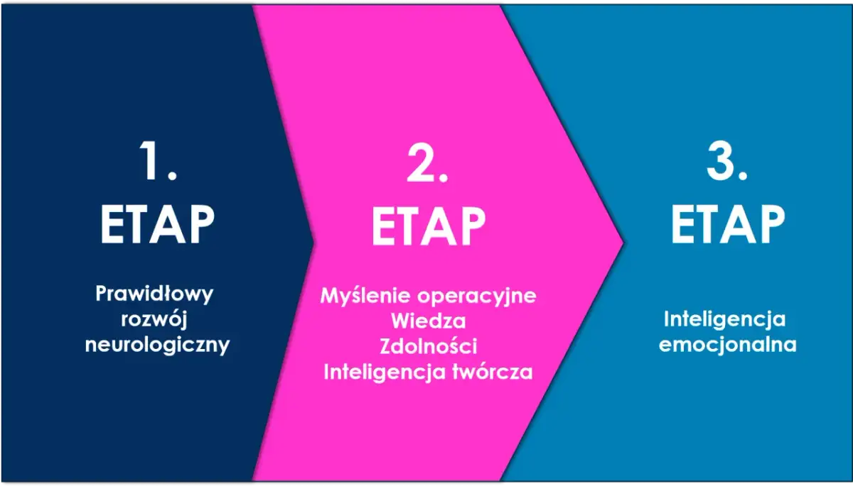 Diagram przedstawiający 3 etapy rozwoju: 1. Prawidłowy rozwój neurologiczny, 2. Myślenie operacyjne, wiedza, zdolności, inteligencja twórcza, 3. Inteligencja emocjonalna.