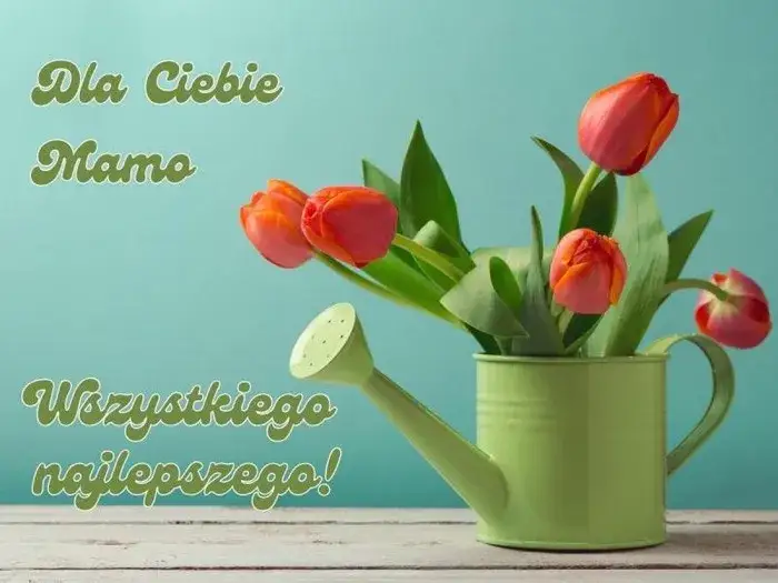 Dzień Matki: Znajdź piękne życzenia! Wzruszające, zabawne, krótkie