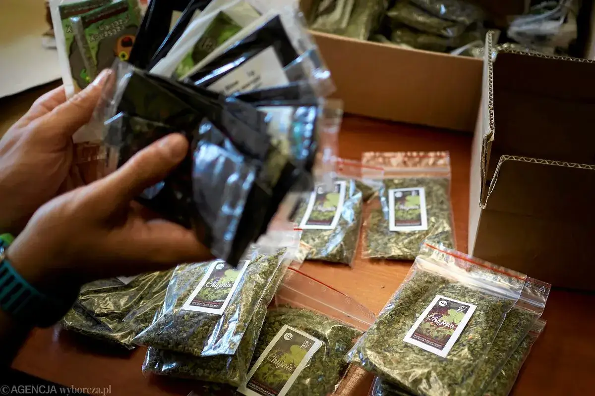 Dopalacze jako "kolekcjonerskie": Czy na pewno legalne i bezpieczne?